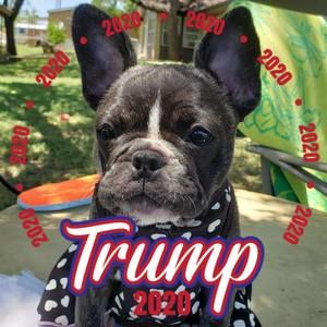 Meet your Posher, Robin